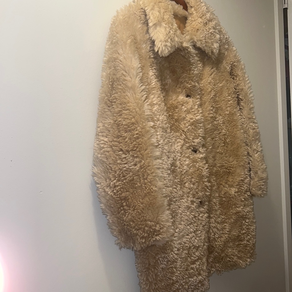 Zara Teddy